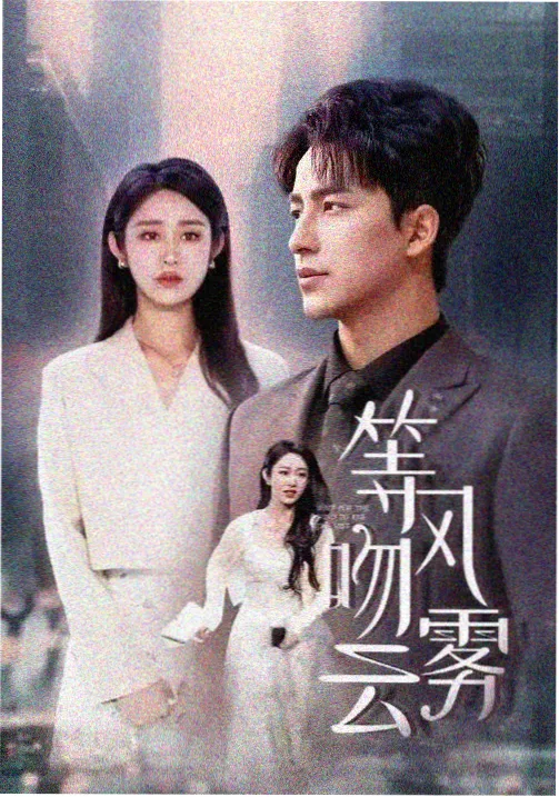 山河故人录 海报